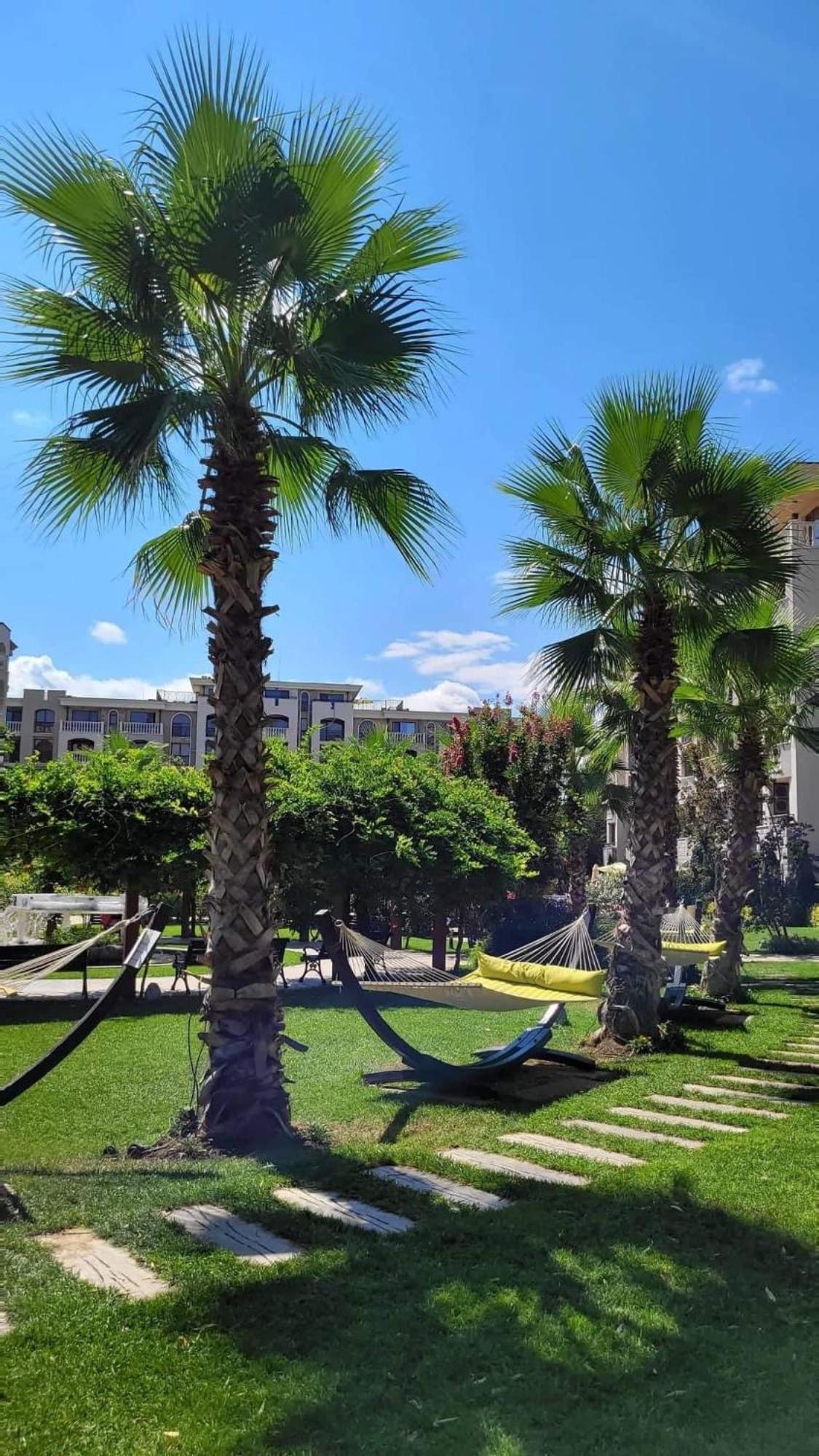 Wonderful Deluxe Appartement In Cascadas Family Resort Sunny Beach Exterior photo
