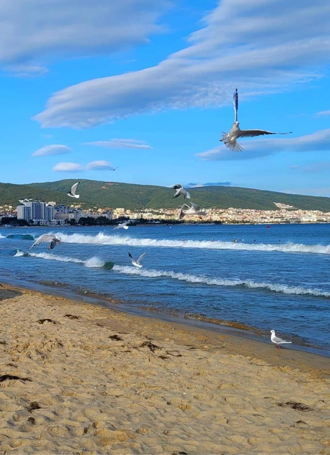 Wonderful Deluxe Appartement In Cascadas Family Resort Sunny Beach Exterior photo
